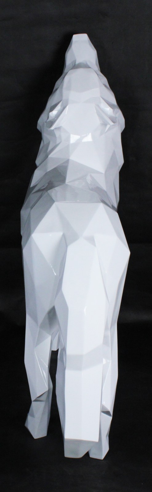 Loup hurlant blanc