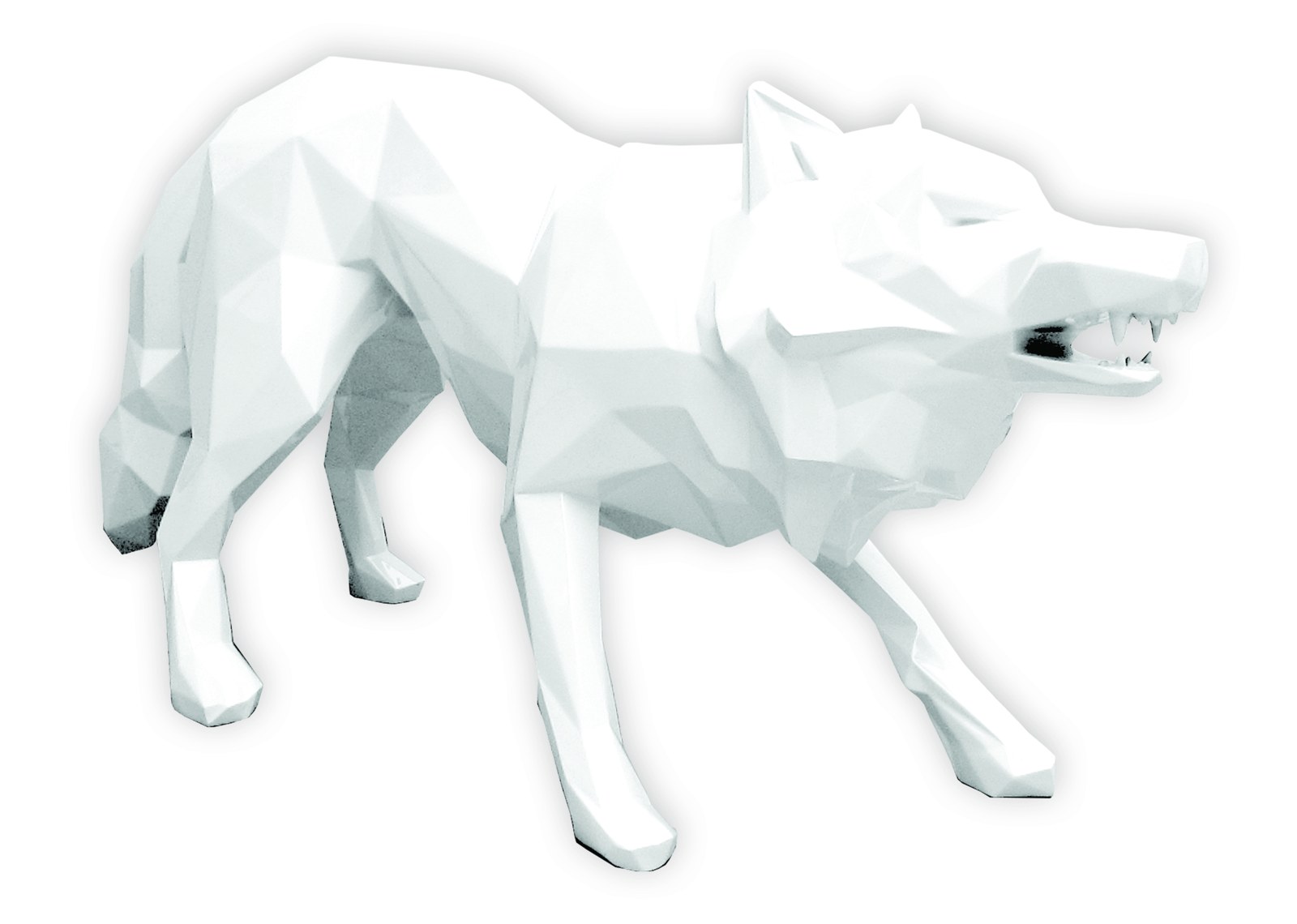 Loup attaque white