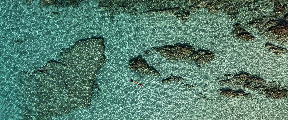View from the sky : Turquoise water & Shark