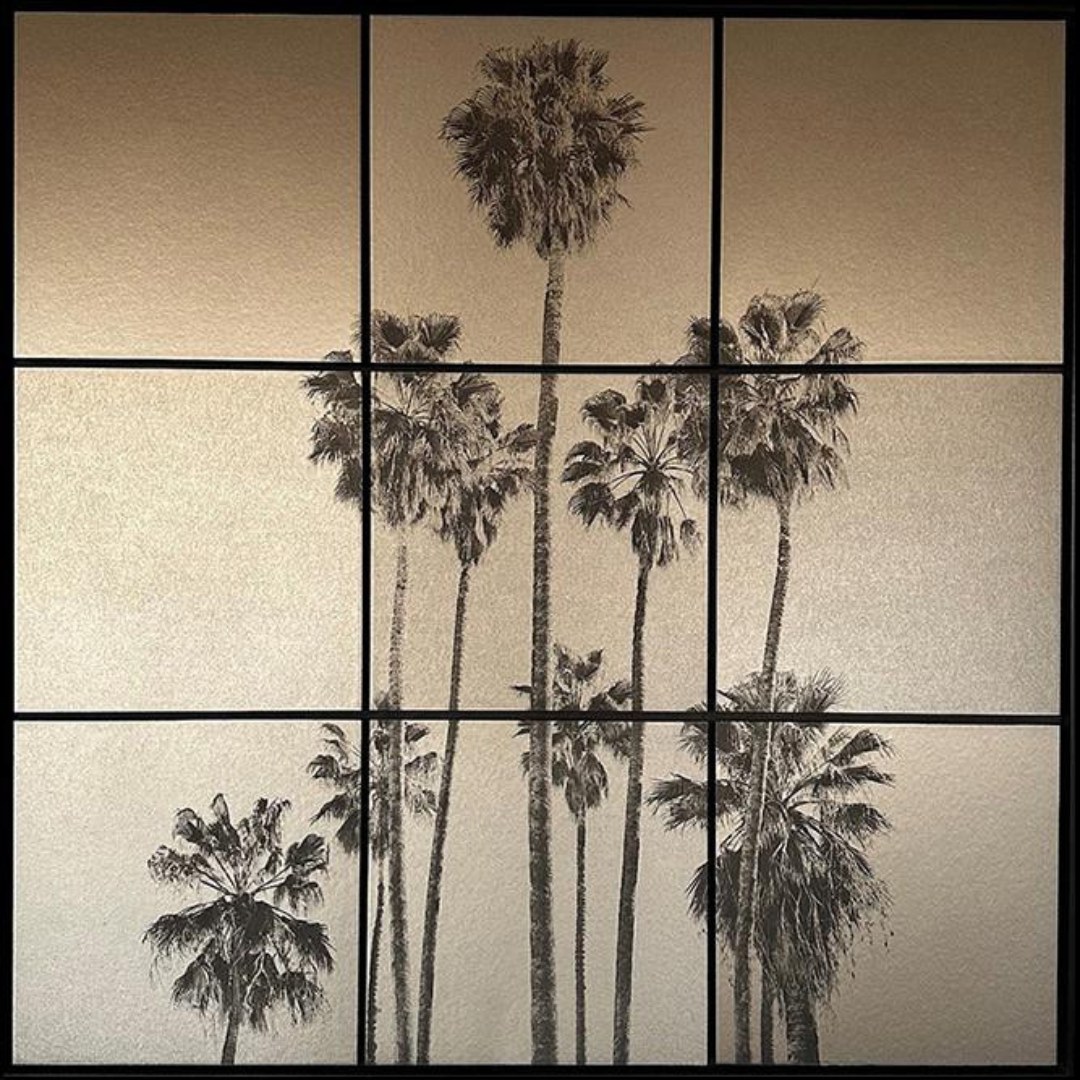 Anne Valverde, California Dream