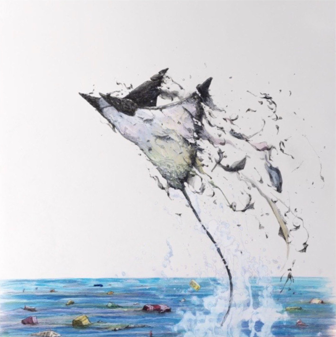 ANIMAUX : Bleu Petrole