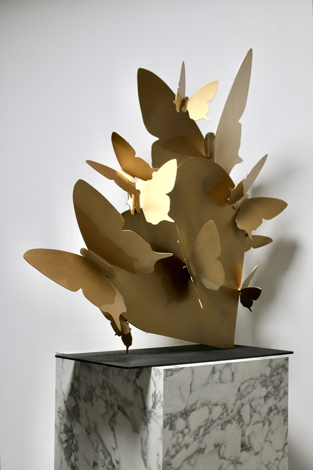 Golden Pulse