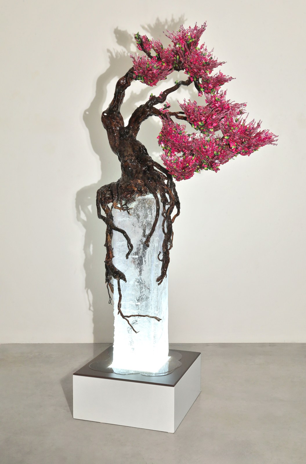 Kengai Hanami