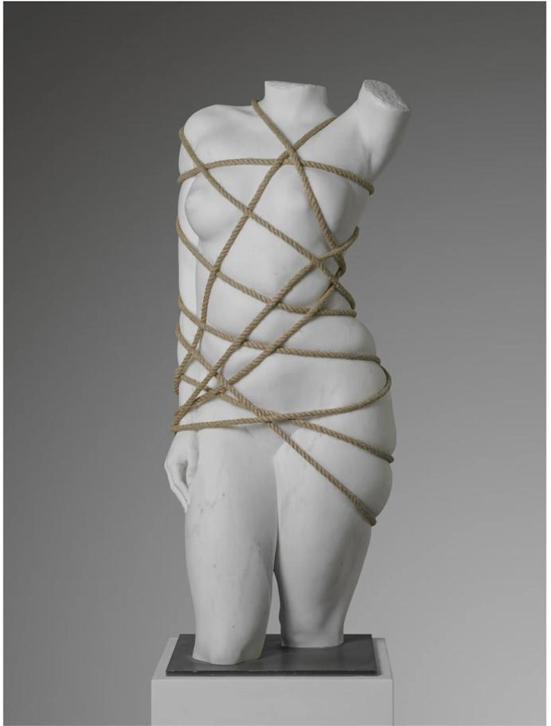 Venus Restricted
