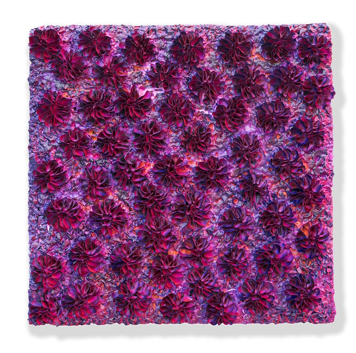 B19-C051