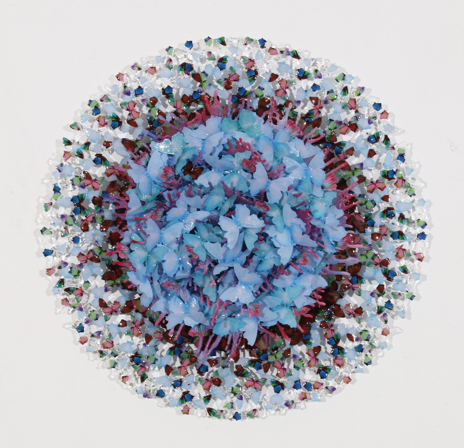 Dreamcatcher Rose