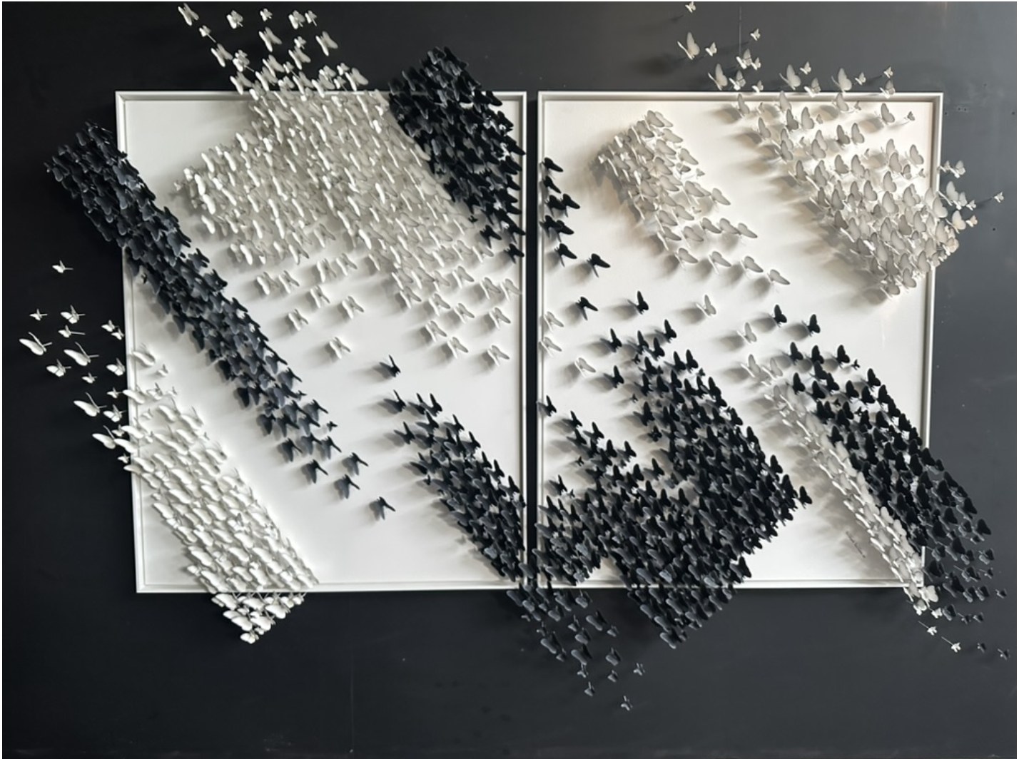 RENCONTRE No. 31 - diptych